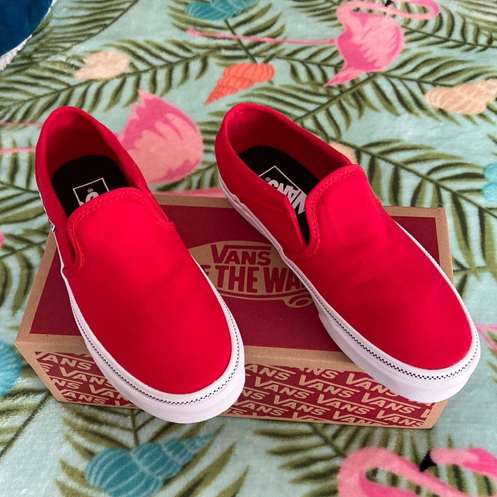 New Van Asher Shoes